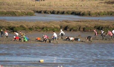 Maldon Mud Race 1.jpg